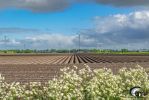 1-Alle-Oldebeuving-Aardappelveld_Windturbines